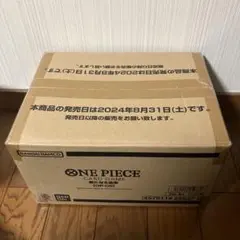 ワンピース カードゲーム 新たなる皇帝 OP-09 カートン未開封