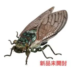 いきもの大図鑑アドバンス セミ01 ミンミンゼミ ガシャポン
