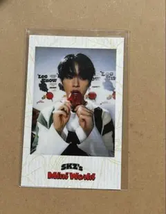 straykids スキズ トレカ リノ シーグリ 2023 特典 ポラ