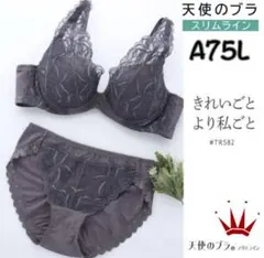 A75L 天使のブラ スリムライン582 ブラ＆ショーツ チャコールグレー