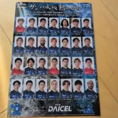 Item thumbnail for item 31d35c95-4b9c-4d4e-9cdf-061e890956a8