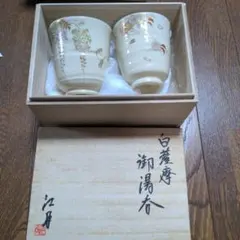 新妻守作　江月窯　薩摩焼　花図　茶入　共箱　略歴付　茶道具 新妻守作 江月窯 薩摩焼 花図 茶入 共箱 略歴付 茶道具
