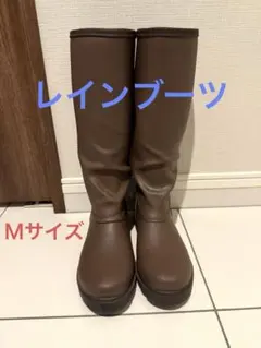 Item thumbnail for item 79135c62-0e6a-4f8a-8ebb-332e52541e8a