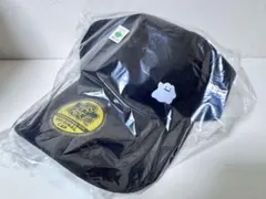 新品未使用　ぽこあポケモン　エディオン　特典メタモンキャップ