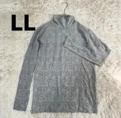 Item thumbnail for item 0511c566-8a32-4083-8a3c-8be2916f48ef