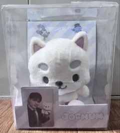 JO1 豆原一成 JOCHUM まめちぃ ぬいぐるみ