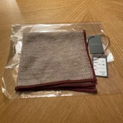 Item thumbnail for item e2a572ab-cd5b-4d9e-9194-c6acebcbadc9