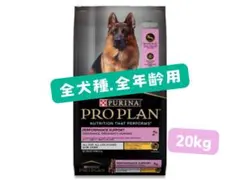 Item thumbnail for item 92a73461-f72d-4ec3-bc41-7629024f67f8