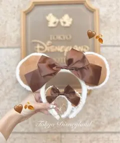 ディズニーカチューシャ ブラウンリボン付き