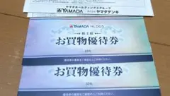 ヤマダ電機 YAMADA HLDGS. お買物優待券 10枚セット 2冊