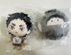 セガラッキーくじ　くるみタピぬい　ハイキュー　ぬいぐるみ