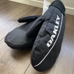 Item thumbnail for item 9d4885bf-640e-4a7a-be05-2b33a9d224b7