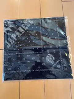 Item thumbnail for item f5876df1-4498-4df0-ad1c-e7ed8a7b550e