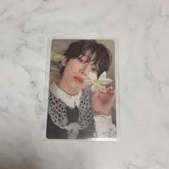 enhypen ソヌ orange blood トレカ