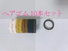 お得 ヘアゴム 10本セット ナチュラルカラー シンプル