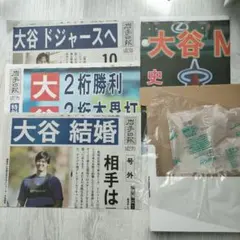 【お値下げ】大谷翔平 結婚 岩手日報 号外 新品 4種のサムネイル