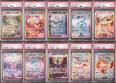 テラスタルフェスex イーブイ進化 PSA10連番 ブイズ ワンオーナー