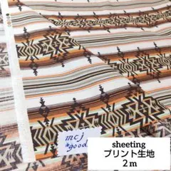 ネイティブ柄　ベージュ系　ボーダー柄　コットン プリント生地2m　オルティガ