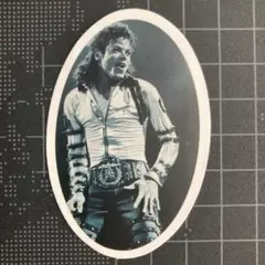 836. マイケル　　　M. J. king 防水ステッカー