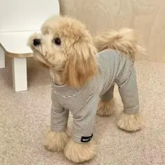 ALPHAICON 犬用つなぎ服 ライトブルーXL - メルカリ