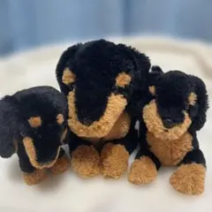イタリア製 JOCKLINE 犬 ぬいぐるみ リアル 仔犬 タグ付き - メルカリ