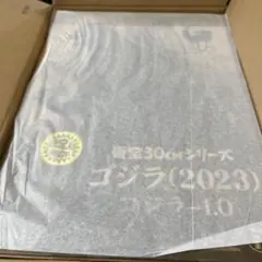 ゴジラ-1.0（2023）少年リック限定版 東宝30cmシリーズのサムネイル
