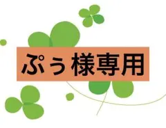【ぷぅ様専用】です。のサムネイル