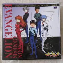 エヴァンゲリオン　カードダス　スペシャルファイル+カード96枚