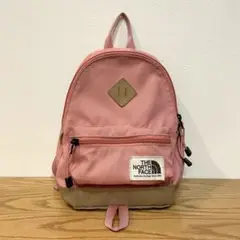 【綺麗な状態】THE NORTH FACE ピンクバックパック（7L）