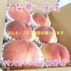 山梨一宮産の山路で獲れた美味しい桃　特大2キロ箱に6個⭐︎ 山梨県一宮産の桃 普通サイズを2キロ箱に6個入れて発送 お買い得商品