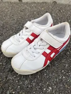 Item thumbnail for item 66a51095-bc63-4b48-9735-5cb0f569edaf