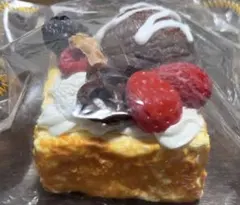 kikisquishy スクイーズ　チョコアイストースト　ぼやぼや袋　Lサイズ