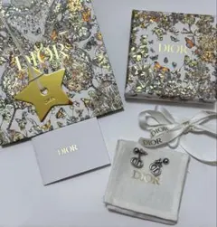 最終お値下げ Dior CD Navy ピアス シルバー