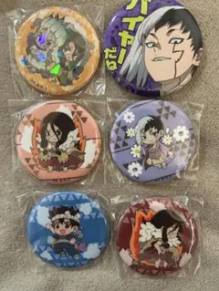 Dr.STONE 缶バッジ 石神千空 獅子王司 あさぎりゲン 缶バッジ 6点