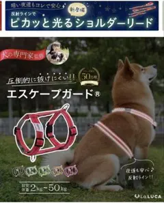 Item thumbnail for item d114e261-3afd-4eeb-980d-f68b843c1c23