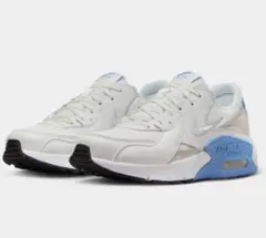 美品⭐︎ ナイキ エア マックス エクシー　25.0