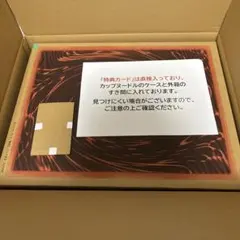 カードあり　未開封遊戯王OCG カップヌードル 遊戯王OCG カップヌードル 簡易融合 20食入り コラボカード付き限定