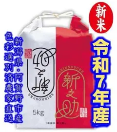 大粒な新米・令和7年産　新潟　新之助　白米5キロ2個（10kg) 　★農家直送 大粒な新米・令和7年産 新潟 新之助 白米5キロ1個☆農家直送 色彩選別