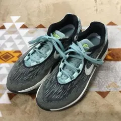 NIKE ナイキ エア ズーム G.T. カット2 バスケットボールシューズ