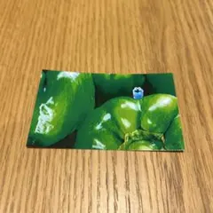 パペットスンスン スマロイド