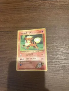 カツラののガーディ　旧裏