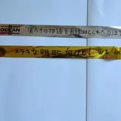 東方神起　銀テープ各1本　RED OCEAN／TOMORROW
