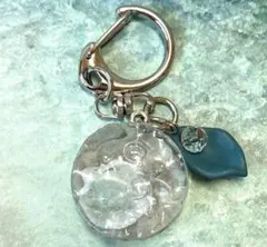 キーリング 海レジン 貝殻モチーフ