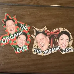 アインシュタインステッカー　THE ORGANIC DAYSザオーガニックデイズ