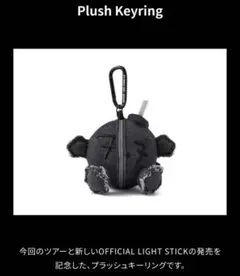 BTS アリラン Plush Keyring キーリング　新品未使用
