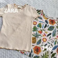 Zara Girls Tシャツ 2枚セット 116 女の子