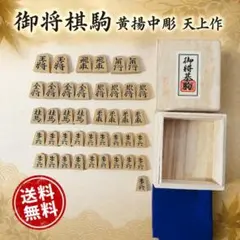 越山作 将棋駒 将棋 駒 木製 箱付き - メルカリ