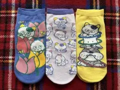 ⭐︎うちのタマ知りませんか ソックス 3足セット⭐︎