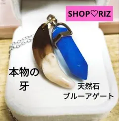 本物の牙＆ローズクォーツ♡お守りペンダント - メルカリ