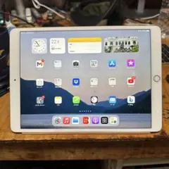 K*K様 Apple iPad Air (第3世代) 256GB ゴールド
